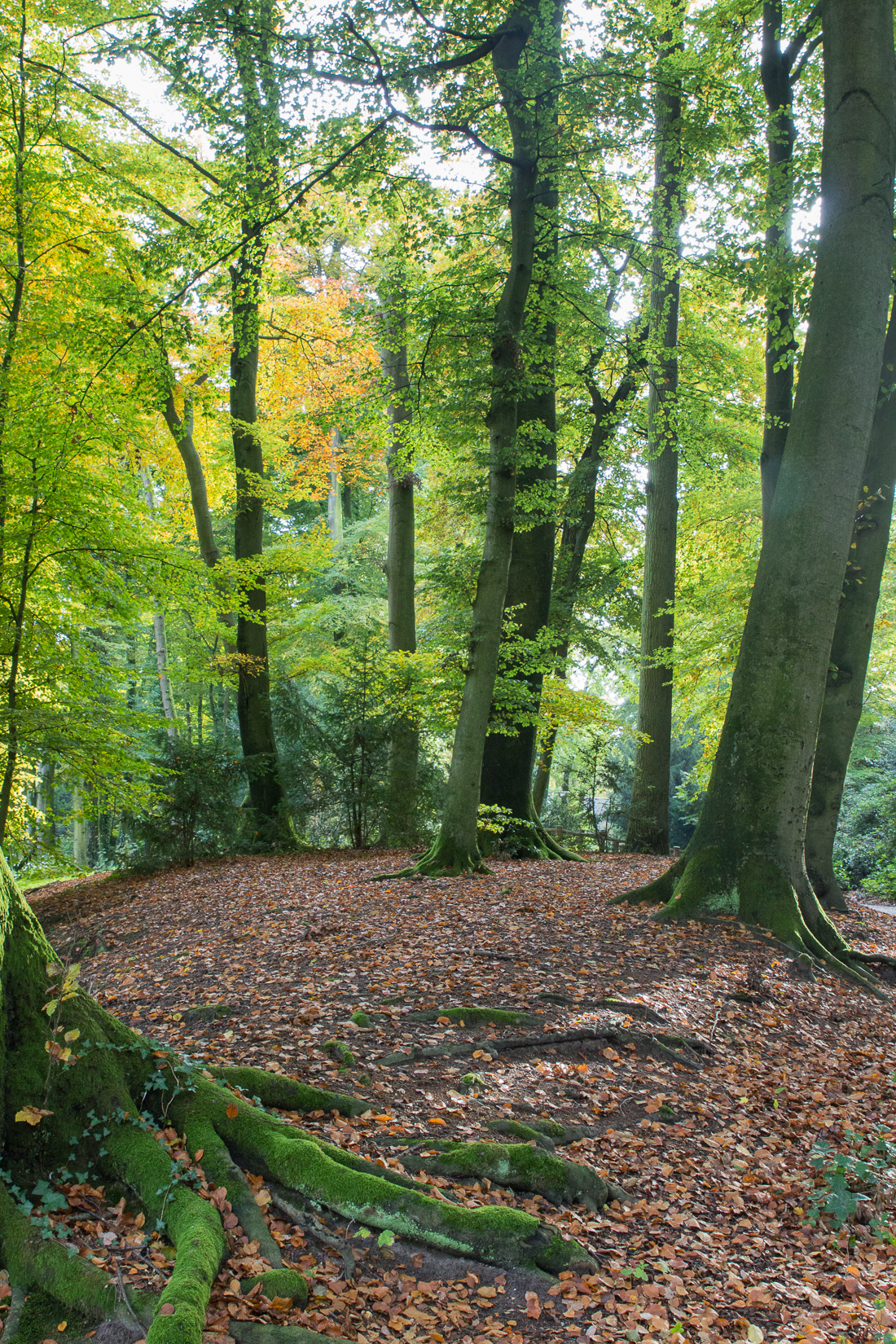 20151023-IMG_2518 1100px fotograaf studio zwolle peermos