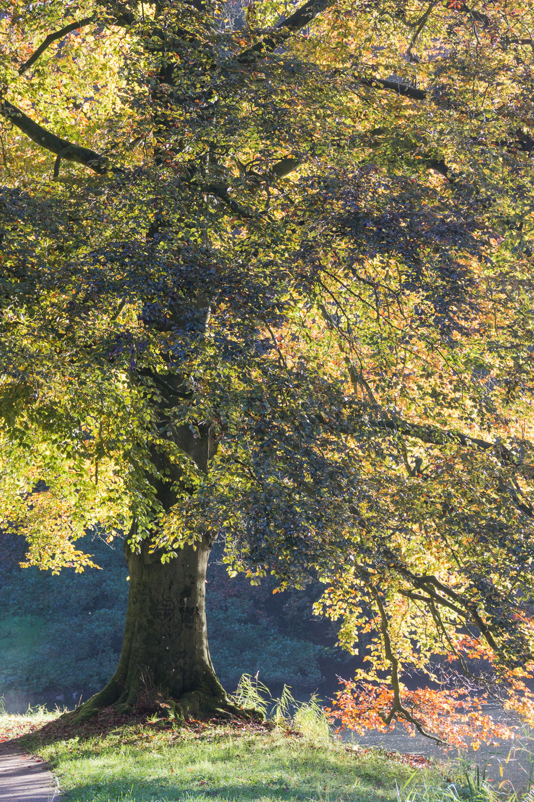 20151025-IMG_2598 1100px fotograaf studio zwolle peermos