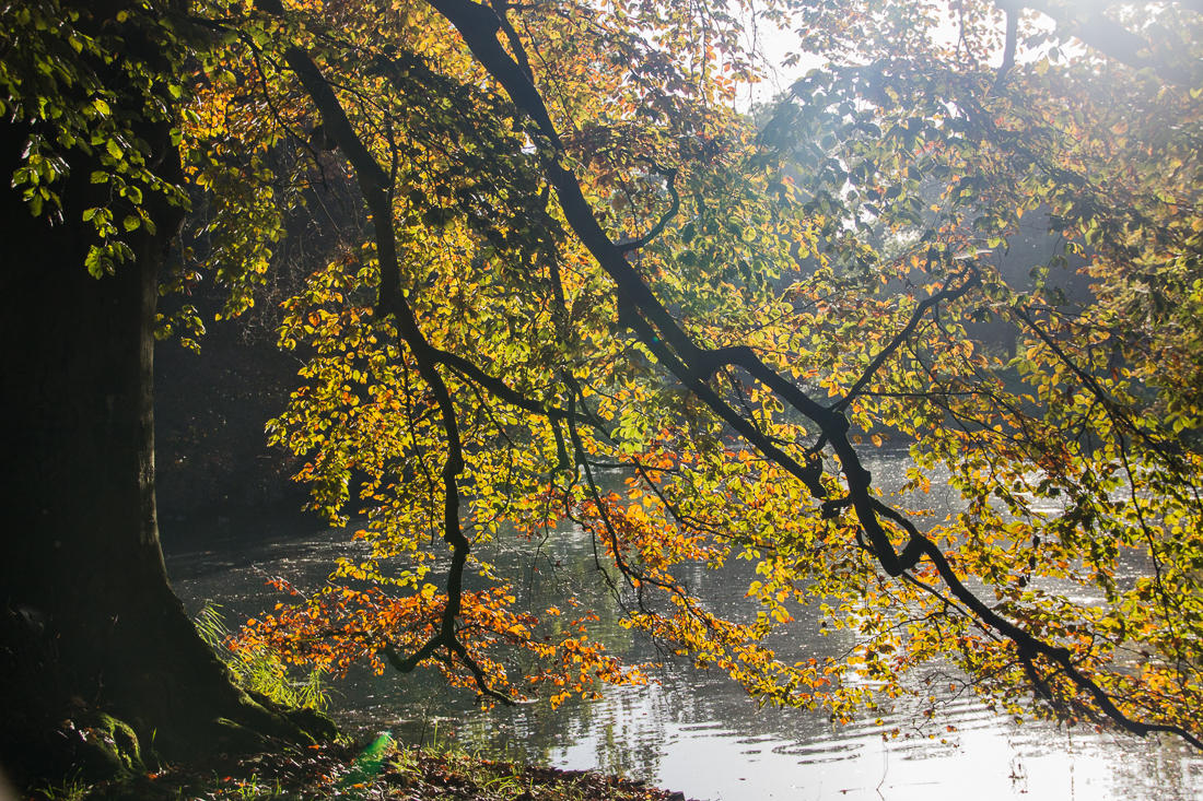 20151025-IMG_2600 1100px fotograaf studio zwolle peermos