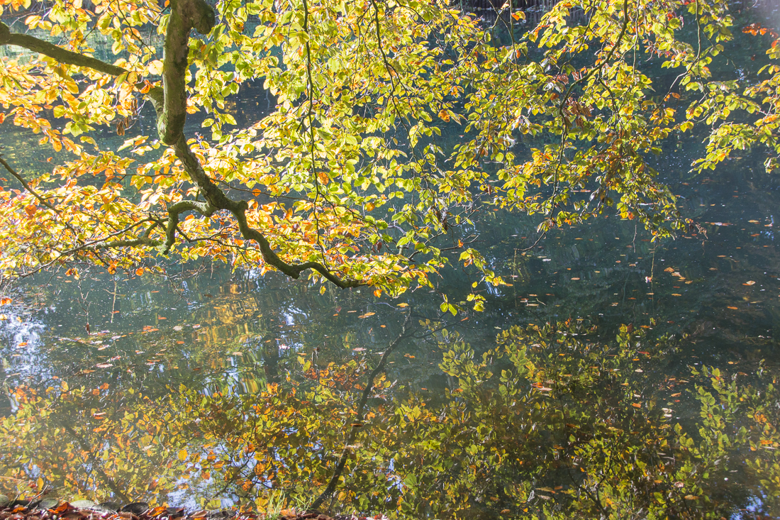 20151025-IMG_2602 1100px fotograaf studio zwolle peermos