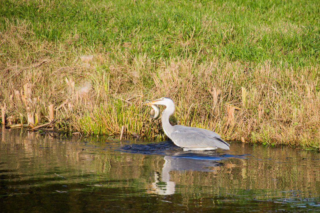 20151026-IMG_2663 1100px fotograaf studio zwolle peermos