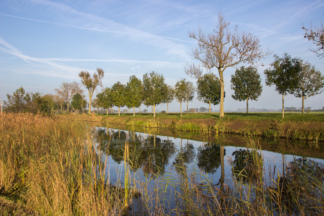 20151101-IMG_2884 1100px fotograaf studio zwolle peermos