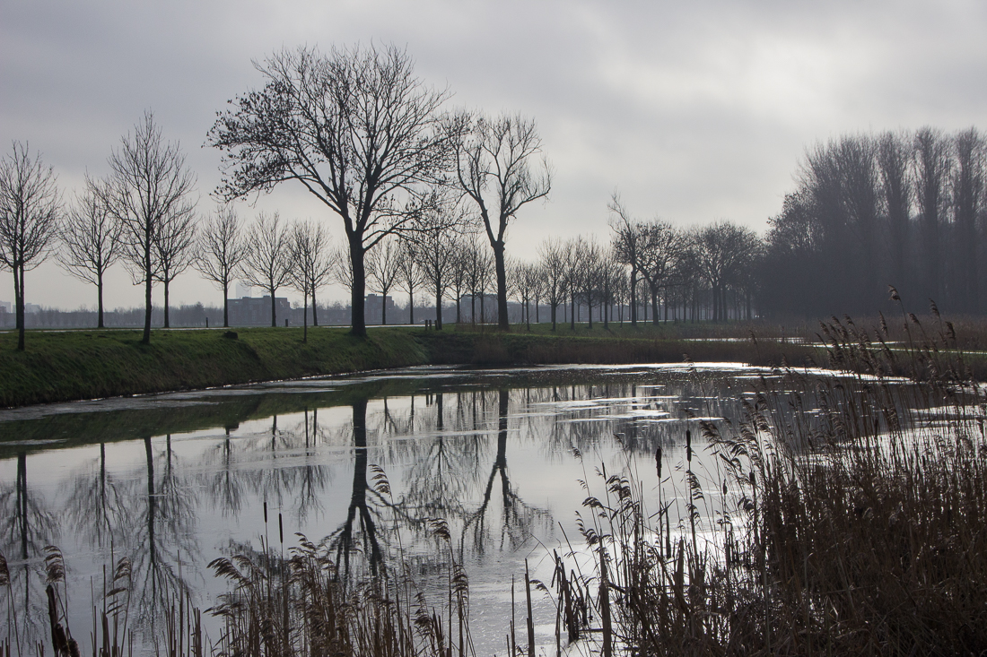 20160123-IMG_5181 1100px fotograaf studio zwolle peermos